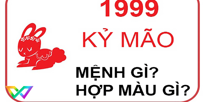 hop-mau-gi-o-tuoi-mao
